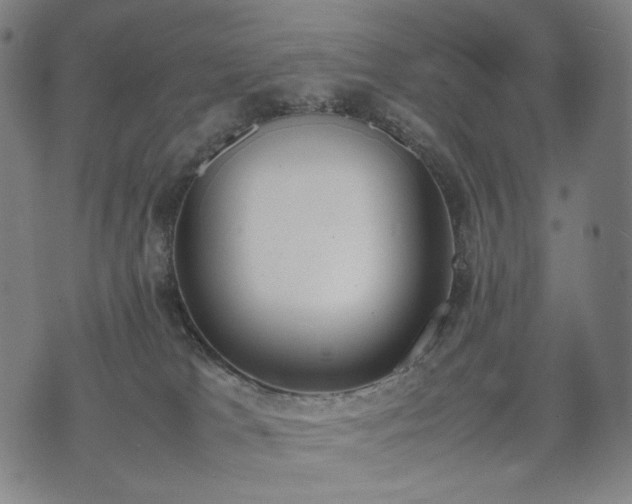 X0000074310037200609011523