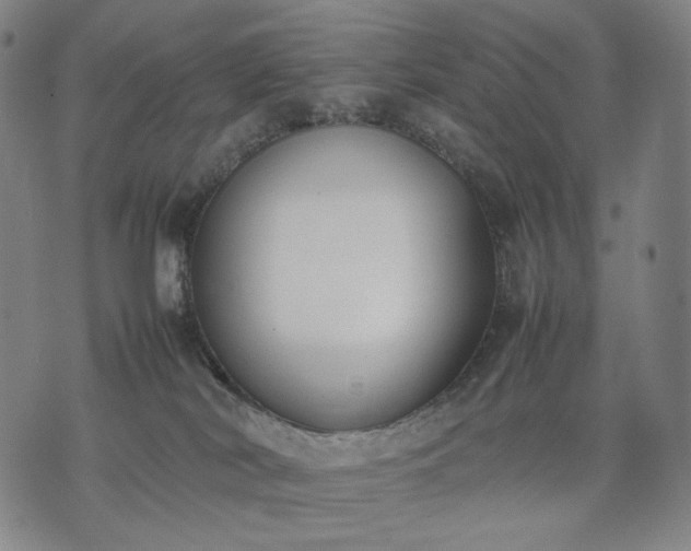 X0000074310038200609011523