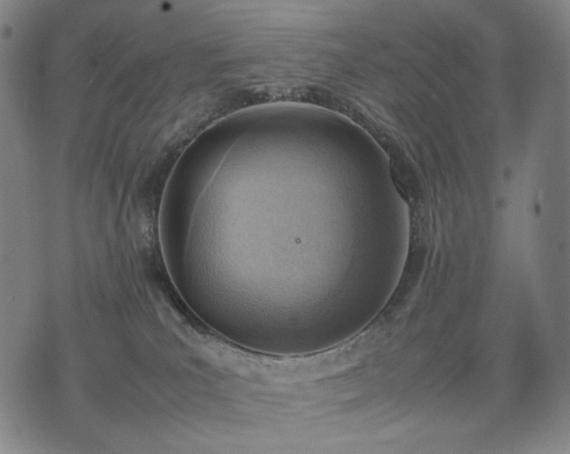 X0000074310039200609011523