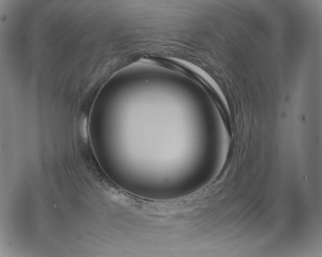 X0000074310041200609011523