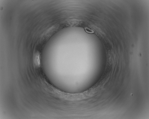 X0000074310042200609011523