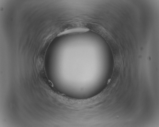 X0000074310043200609011523