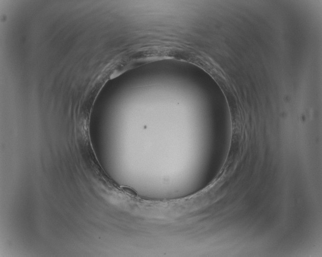 X0000074310045200609011523