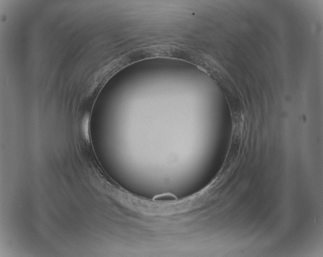 X0000074310047200609011523