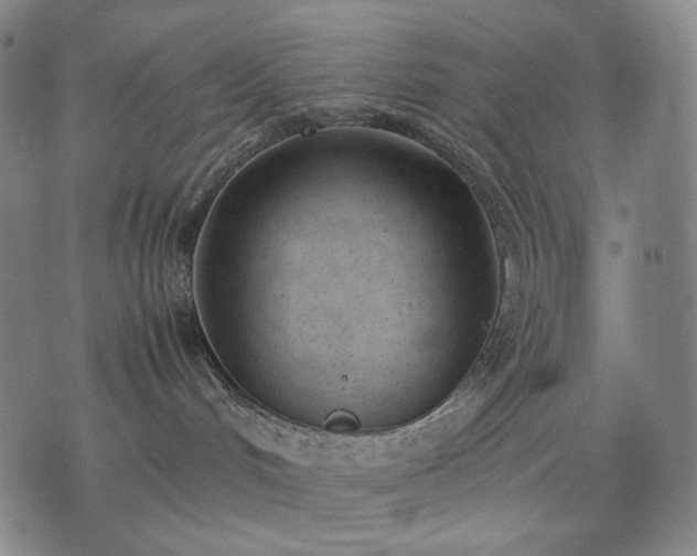 X0000074310048200609011523