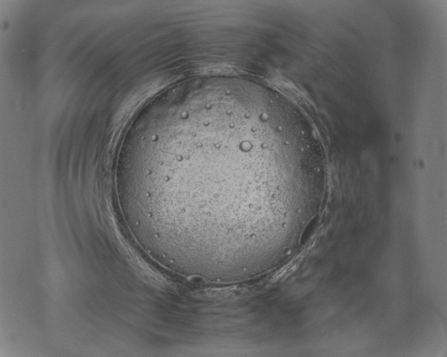 X0000074310049200609011522