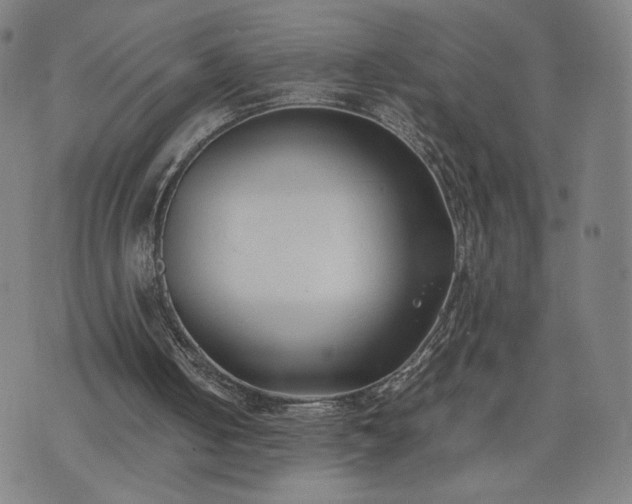 X0000074310050200609011522