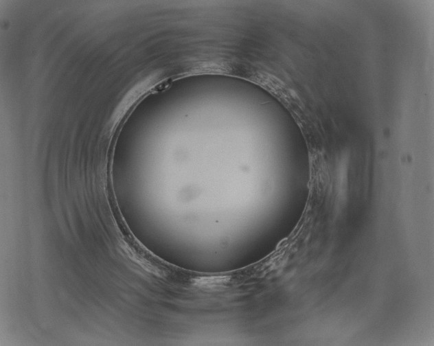 X0000074310051200609011522