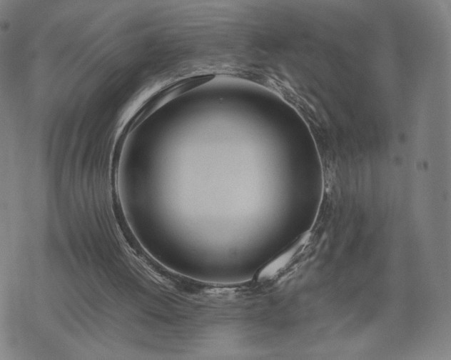 X0000074310052200609011522