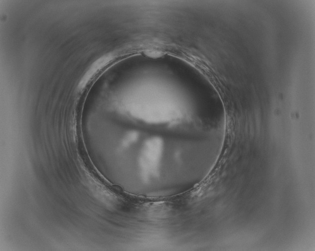 X0000074310054200609011522