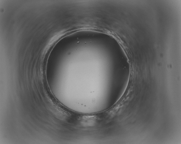 X0000074310055200609011522