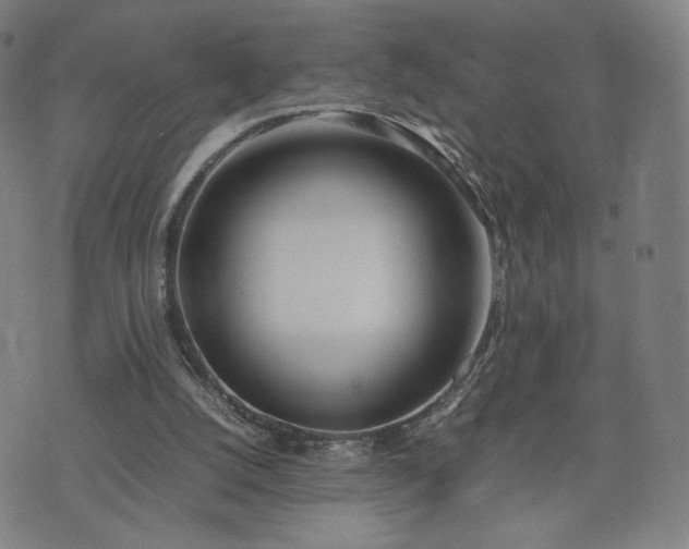 X0000074310056200609011522