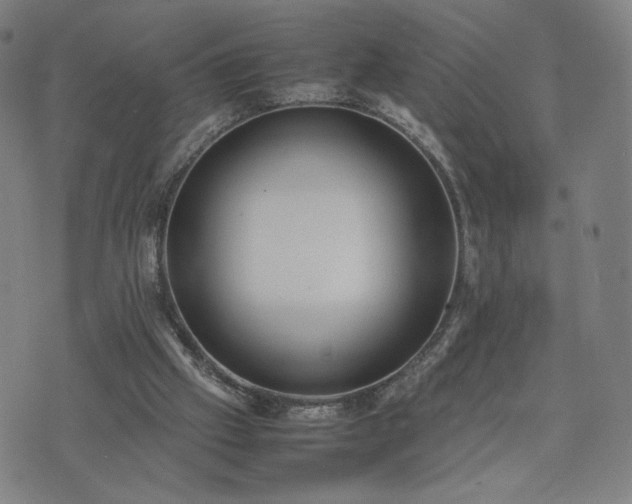 X0000074310057200609011522