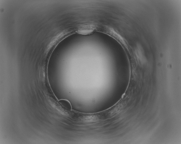 X0000074310059200609011522