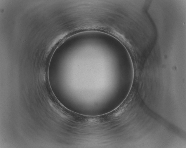 X0000074310060200609011523