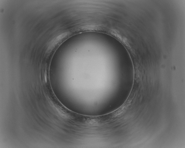 X0000074310062200609011523