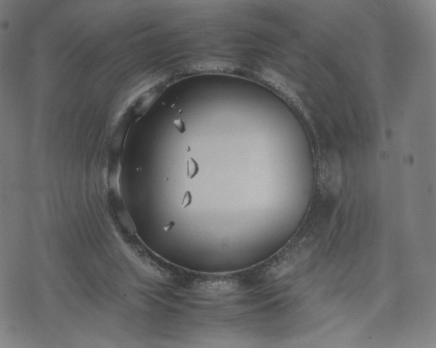 X0000074310063200609011523