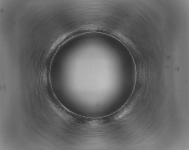 X0000074310064200609011523