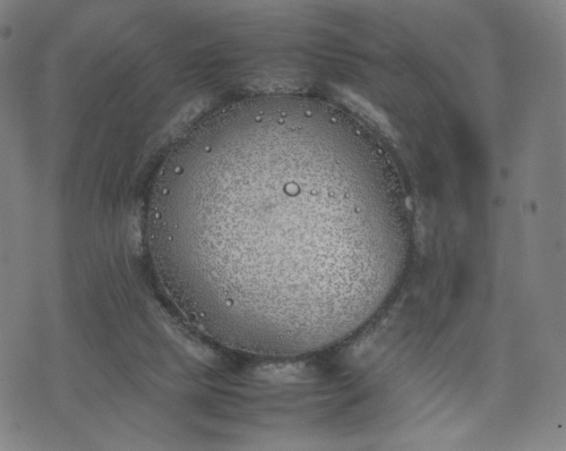 X0000074310065200609011523