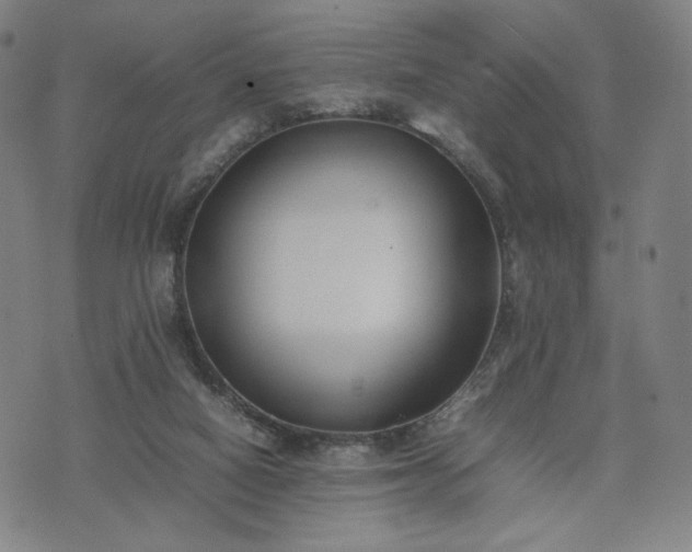 X0000074310066200609011523