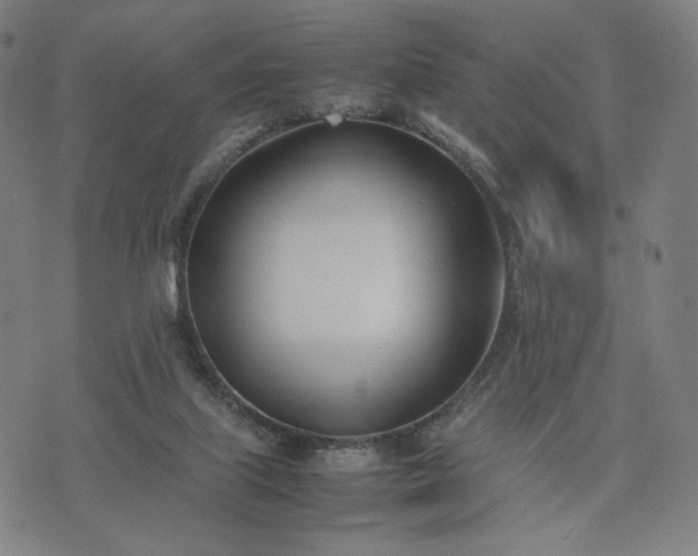 X0000074310067200609011523