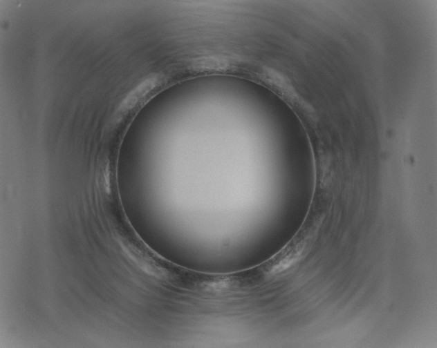 X0000074310068200609011523