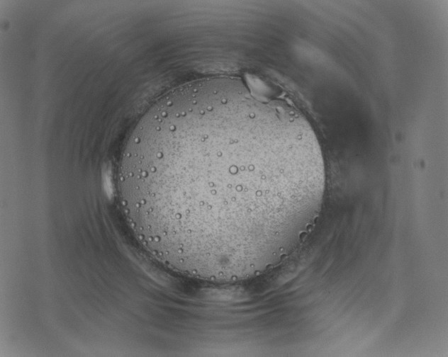 X0000074310069200609011523