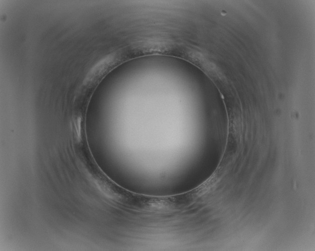 X0000074310070200609011523