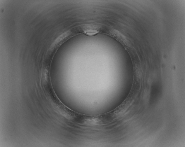 X0000074310071200609011523