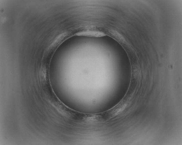 X0000074310072200609011523