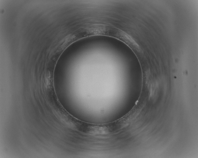 X0000074310073200609011523