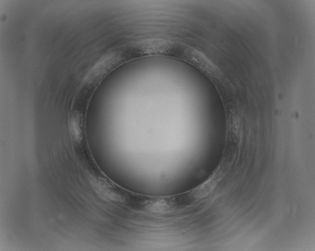 X0000074310074200609011523