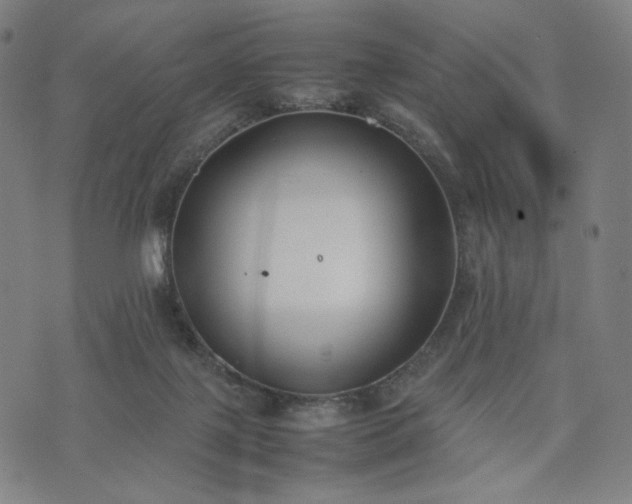 X0000074310075200609011523