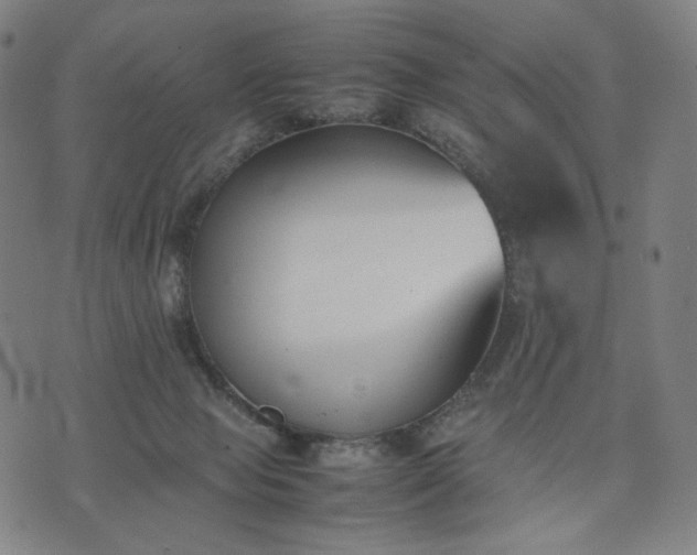 X0000074310077200609011523