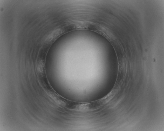 X0000074310078200609011523