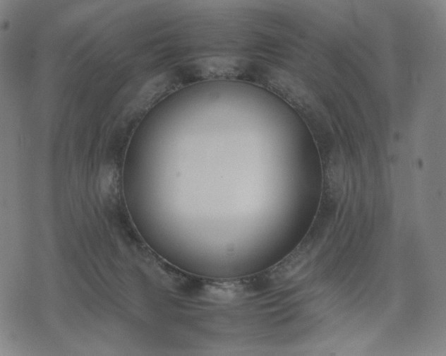 X0000074310079200609011523