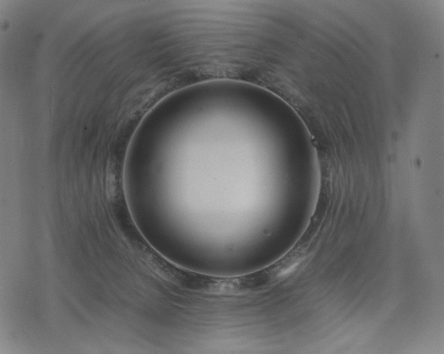 X0000074310080200609011523