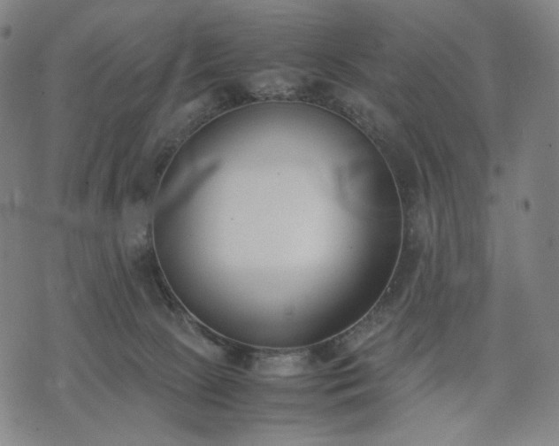 X0000074310081200609011523