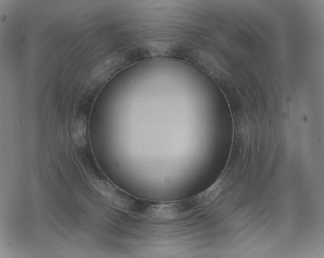 X0000074310082200609011523