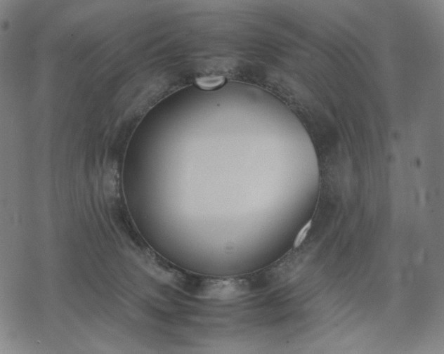 X0000074310083200609011523