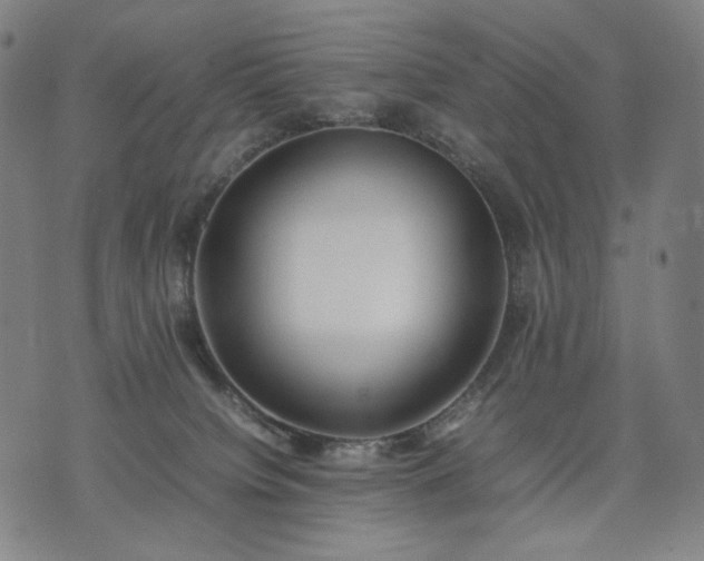 X0000074310084200609011523