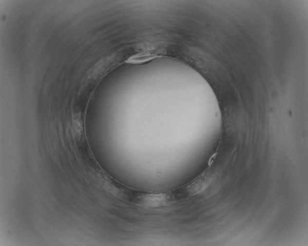 X0000074310085200609011523