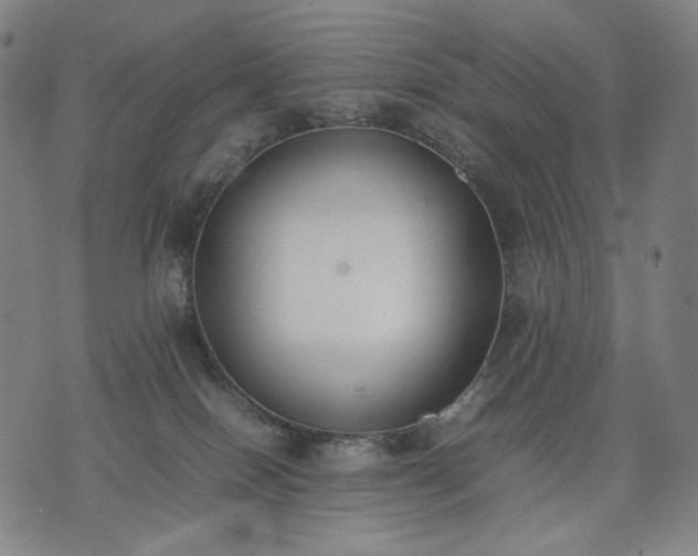 X0000074310086200609011523