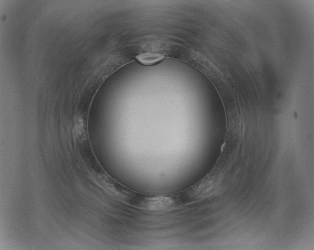 X0000074310087200609011523