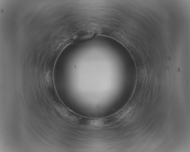 X0000074310088200609011523