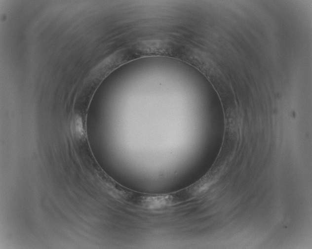 X0000074310089200609011523