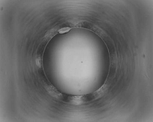 X0000074310090200609011523