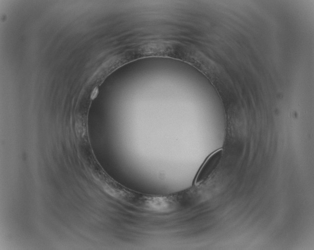 X0000074310091200609011523