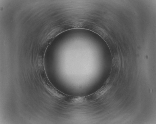 X0000074310092200609011523