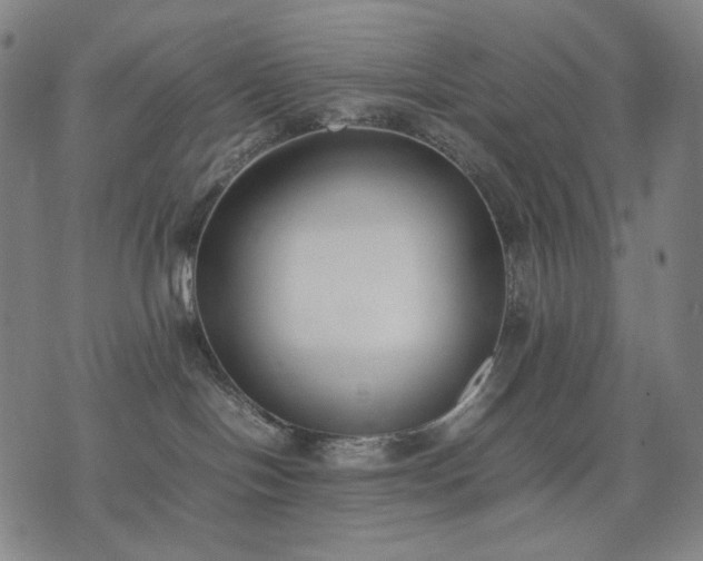 X0000074310094200609011523